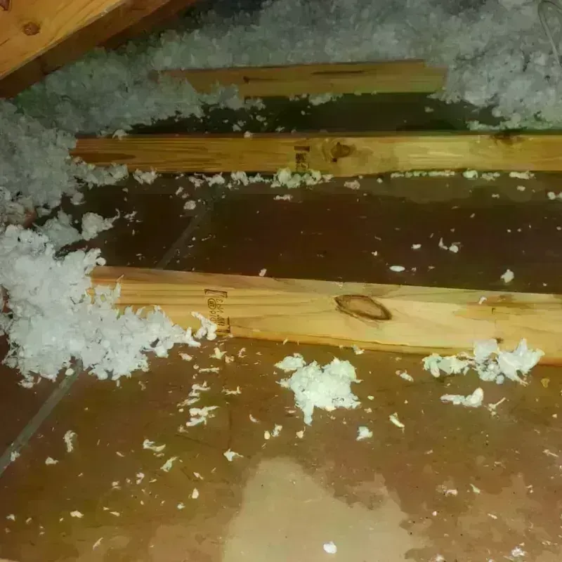 Attic Water Damage in New London County, CT