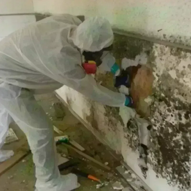 Mold Remediation and Removal in New London County, CT